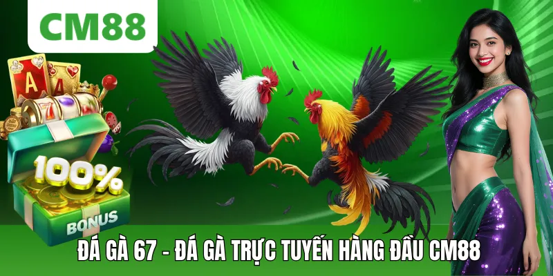 Đá Gà 67 – Trải Nghiệm Đá Gà Trực Tuyến Hàng Đầu Tại Cm88